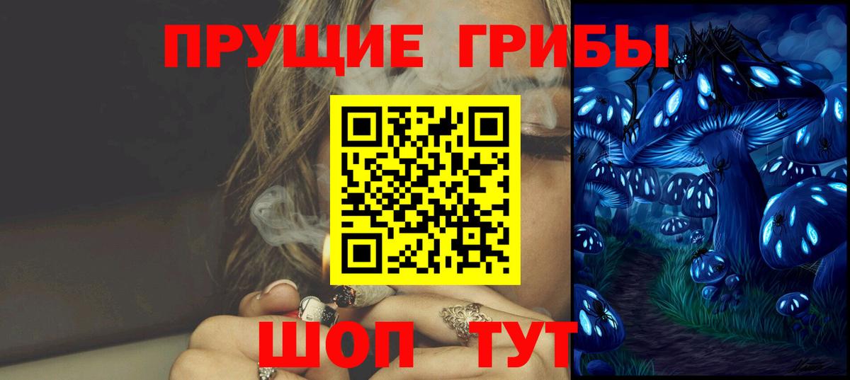 Геленджик  Псилоцибиновые грибы Psilocybe  Вход с VPN 