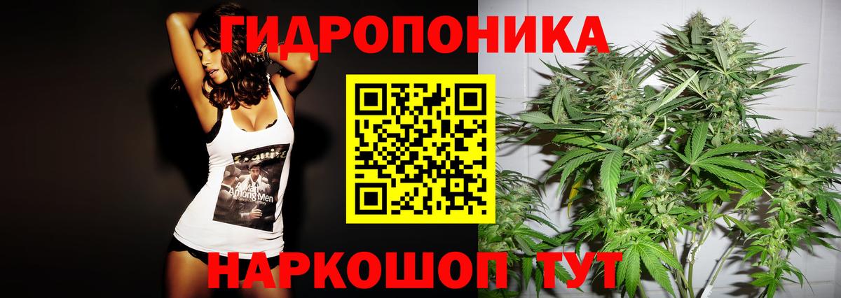 Геленджик  Каннабис сатива  Вход с VPN  Бошки Шишки марихуана 